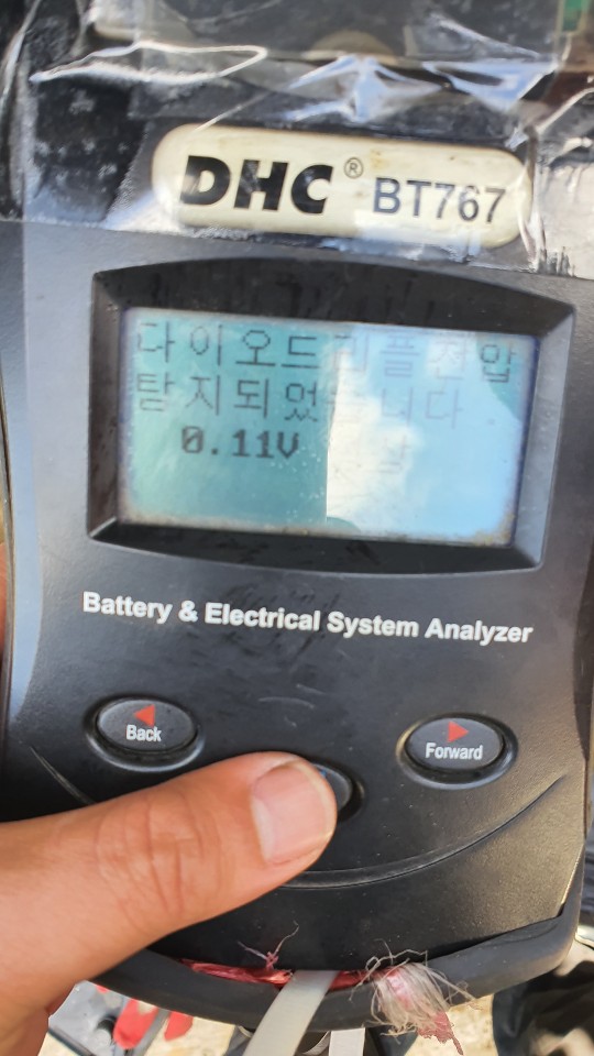 토르모터스 이미지