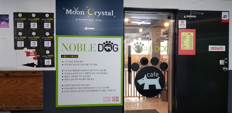 노블도그 이미지