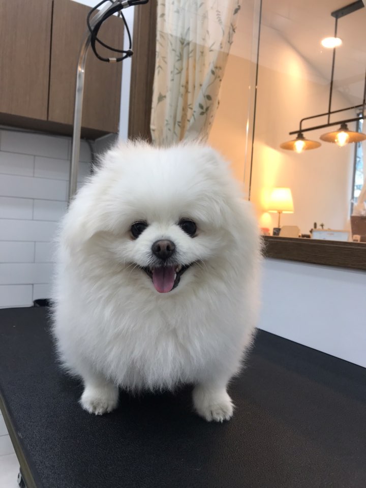 덕이미장원 이미지