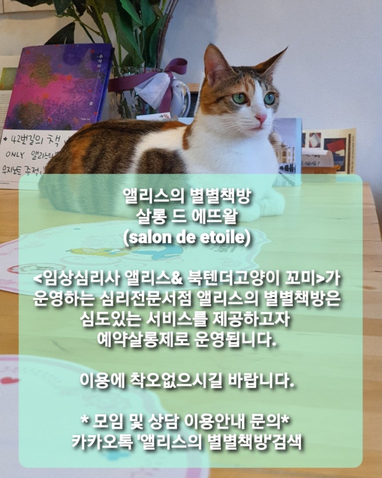 살롱드 에뜨왈 이미지