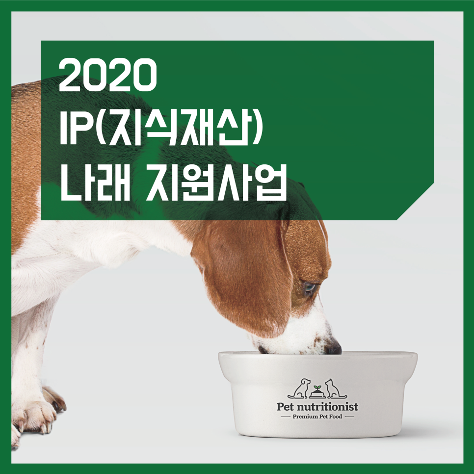 꿈을담은틀 이미지