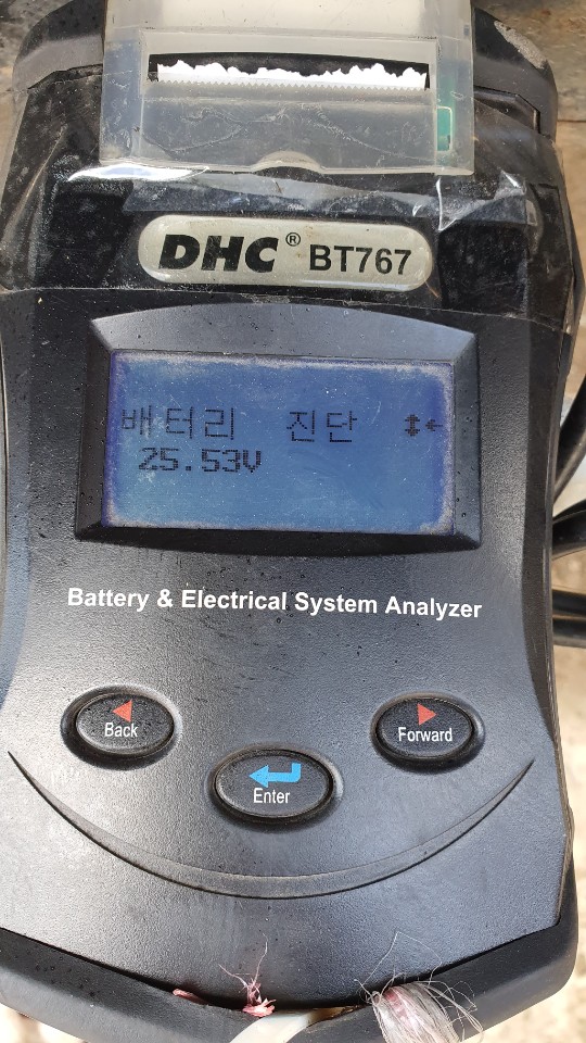 토르모터스 이미지