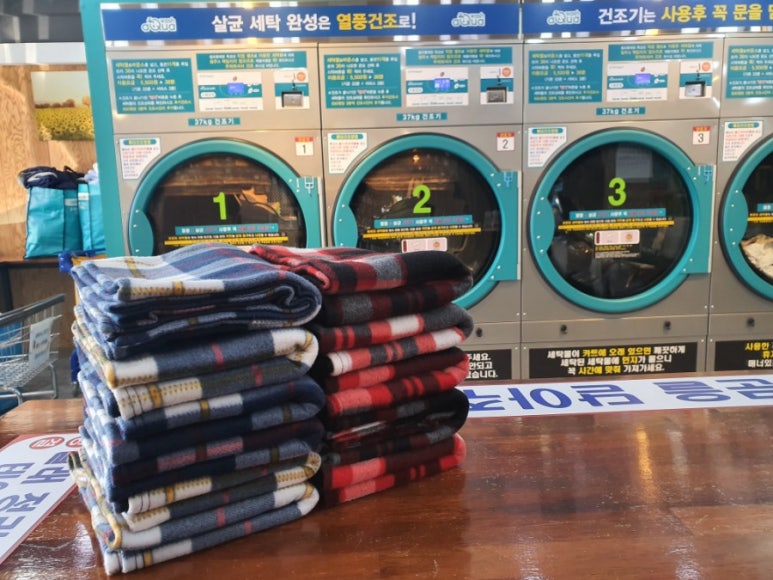 셀독24 이미지