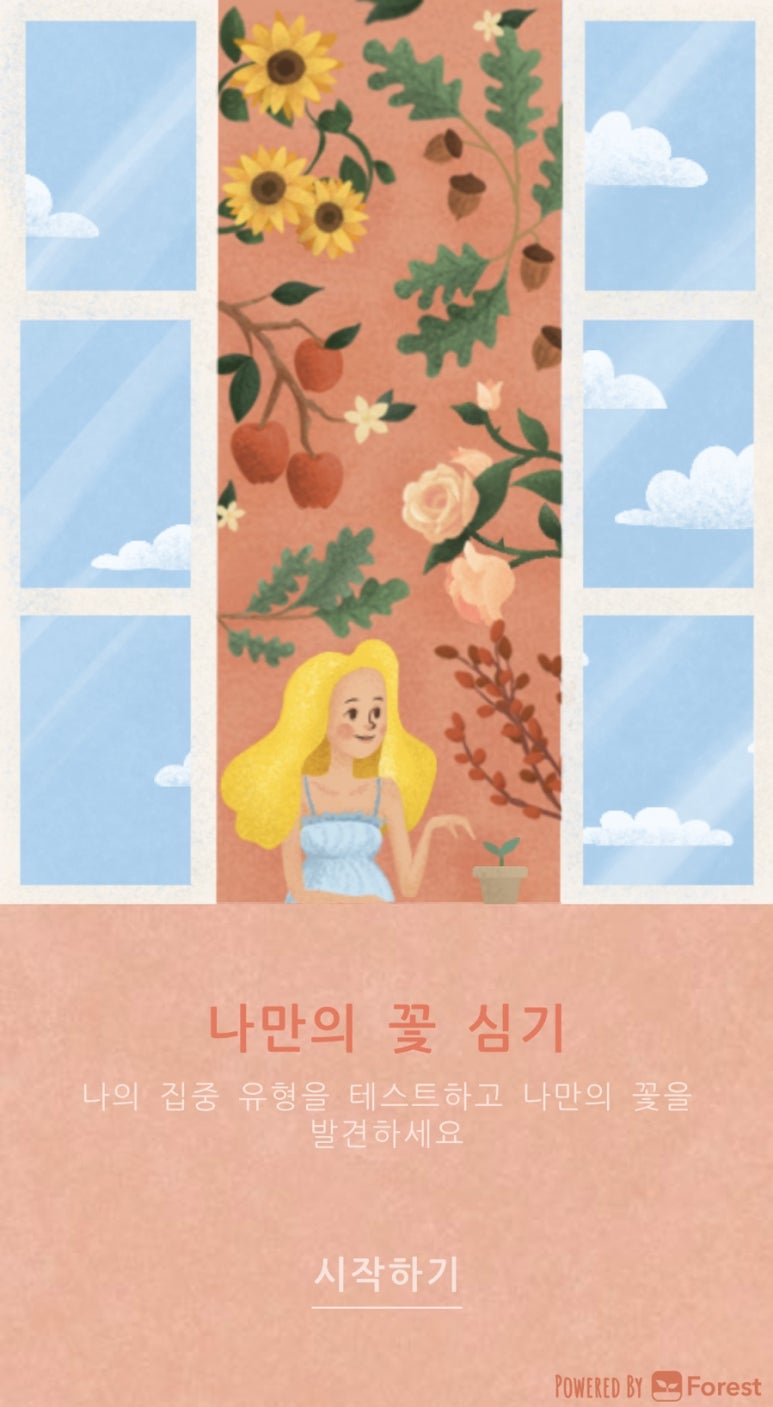 포레스트(forest) 이미지