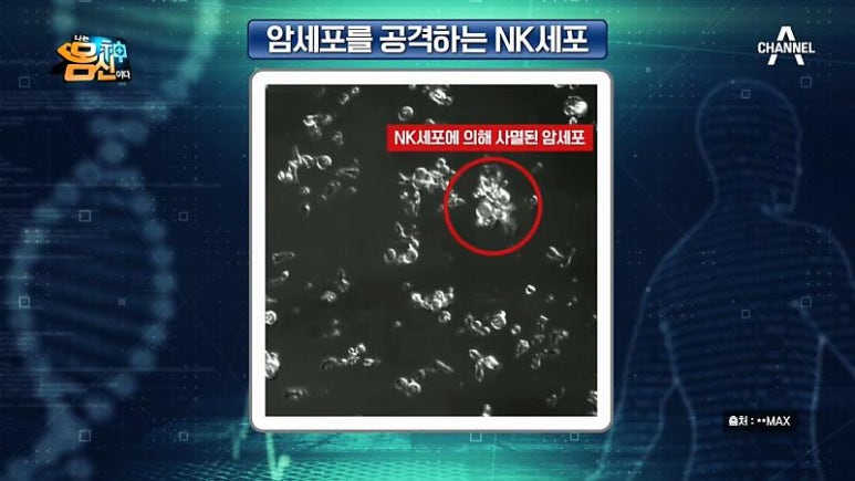 바다의선물 이미지