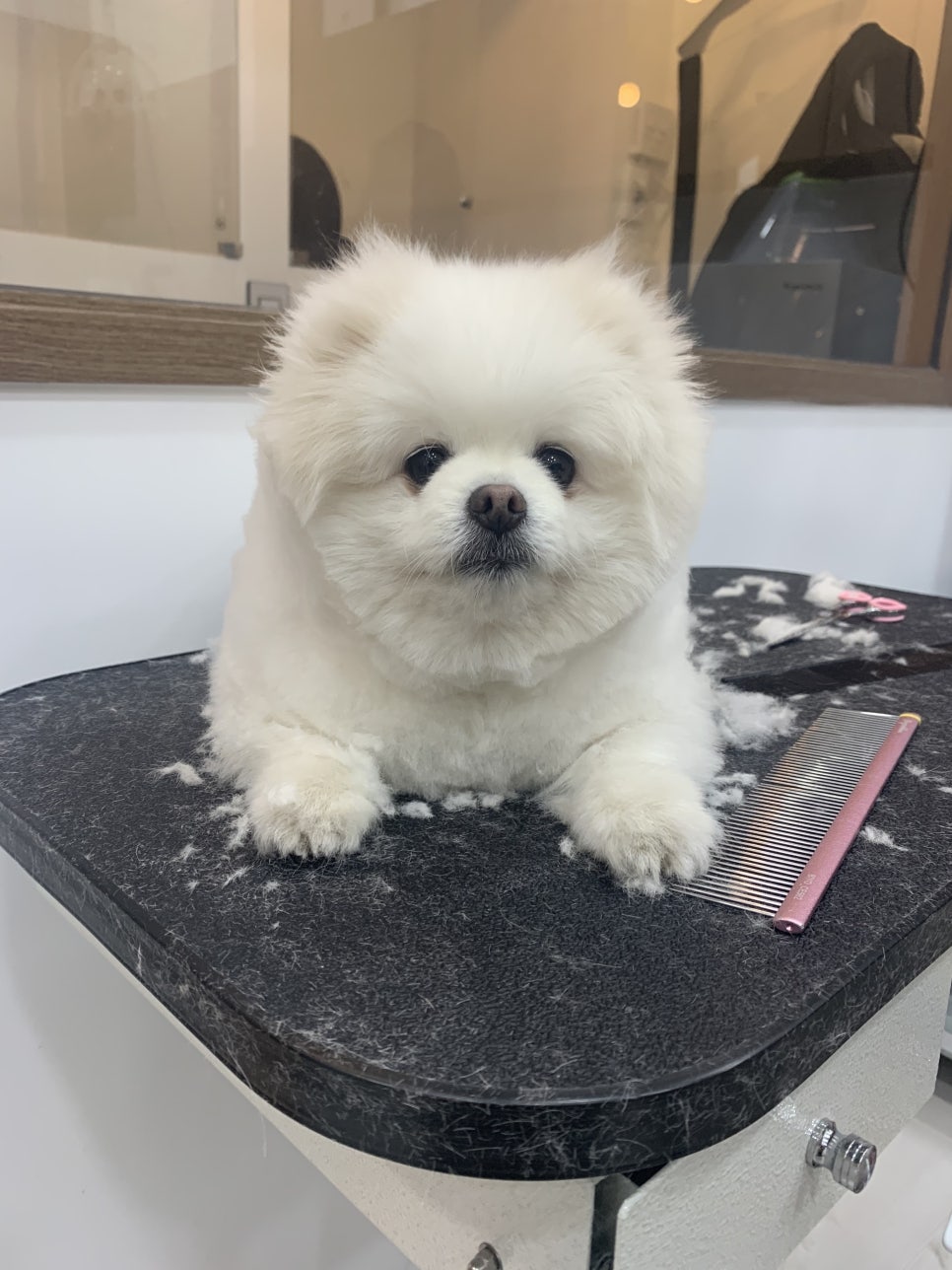 덕이미장원 이미지