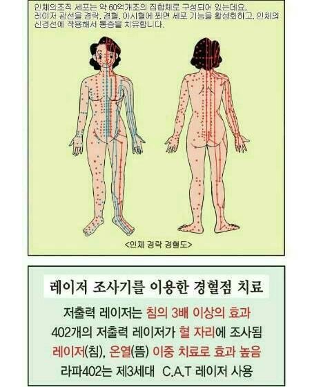라파전위 이미지
