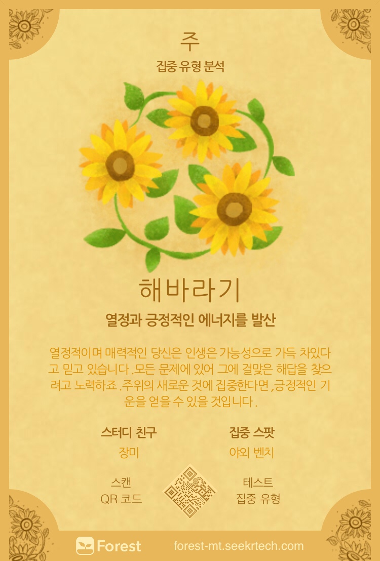 포레스트(forest) 이미지