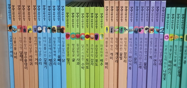 자연전집 이미지