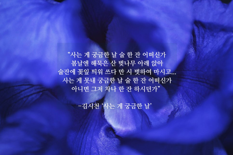 무진참기름 이미지