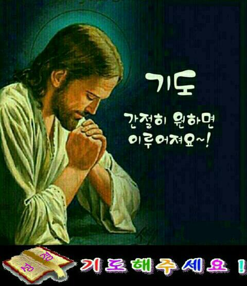 둘자네 이미지