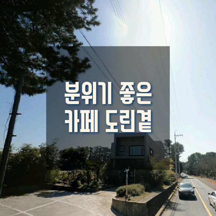 도린곁 이미지
