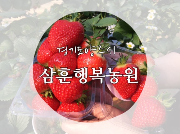 삼훈행복농원 이미지