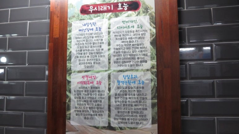 이것이코다리다 이미지