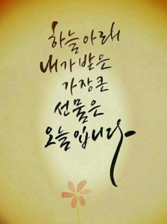 건강한하루 이미지