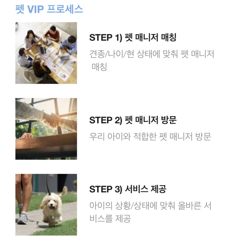 브이아이피서비스 이미지