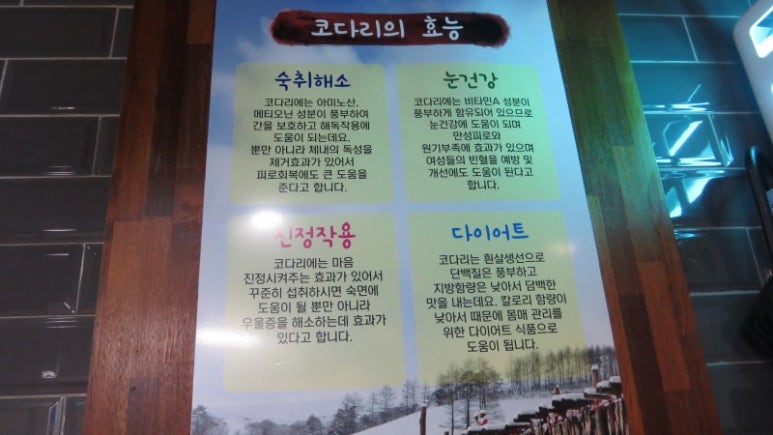 이것이코다리다 이미지