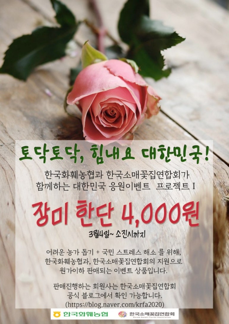 수요일꽃집 이미지