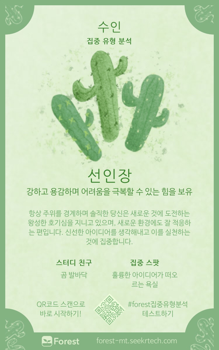포레스트(forest) 이미지