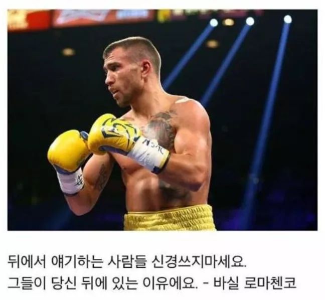 민트젤리 이미지