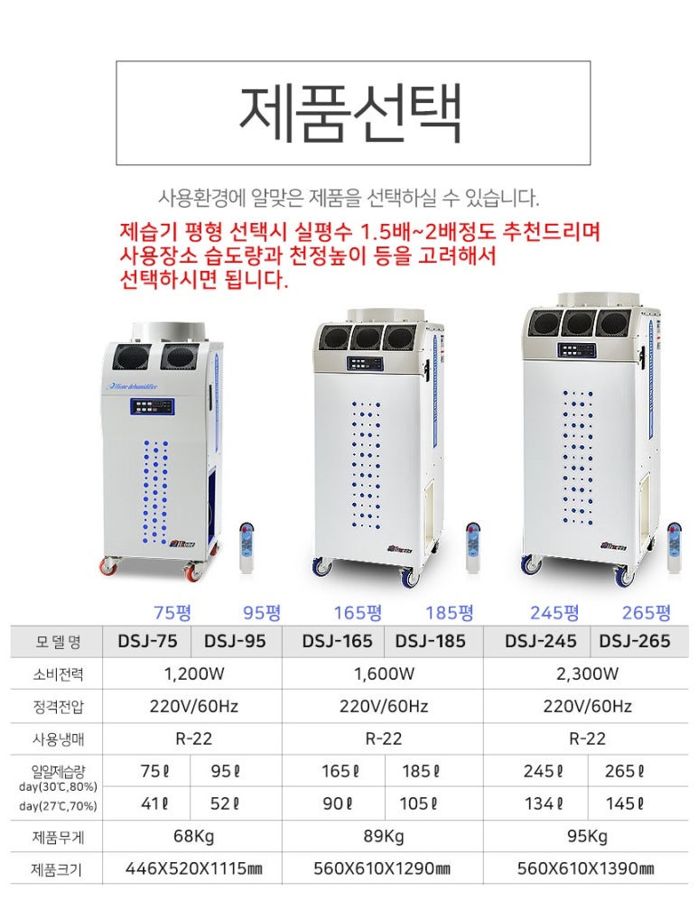 DSJ 이미지