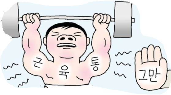 유메인바디핏 이미지