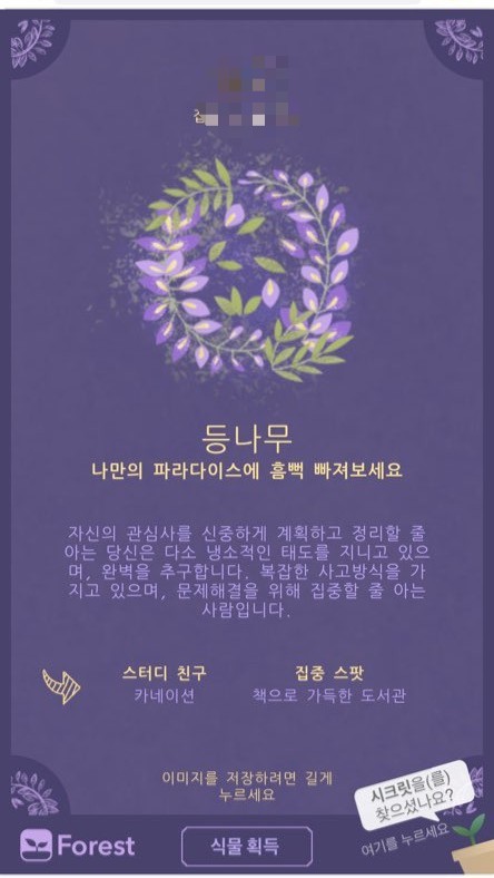 포레스트(forest) 이미지