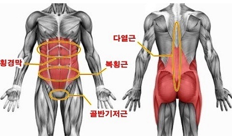 힐링코어 이미지