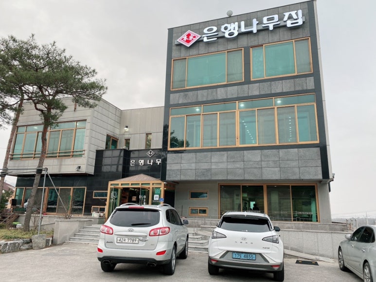 본가은행나무집 이미지