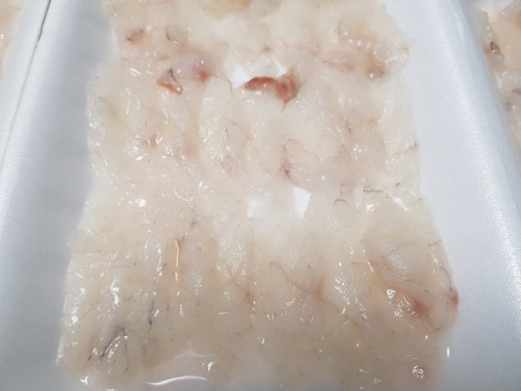 시장복어 이미지