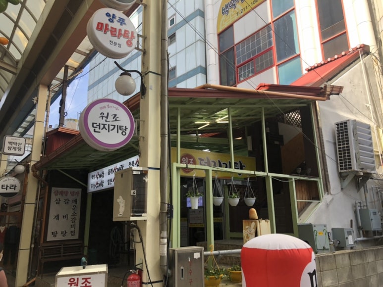 원조던지기탕 이미지
