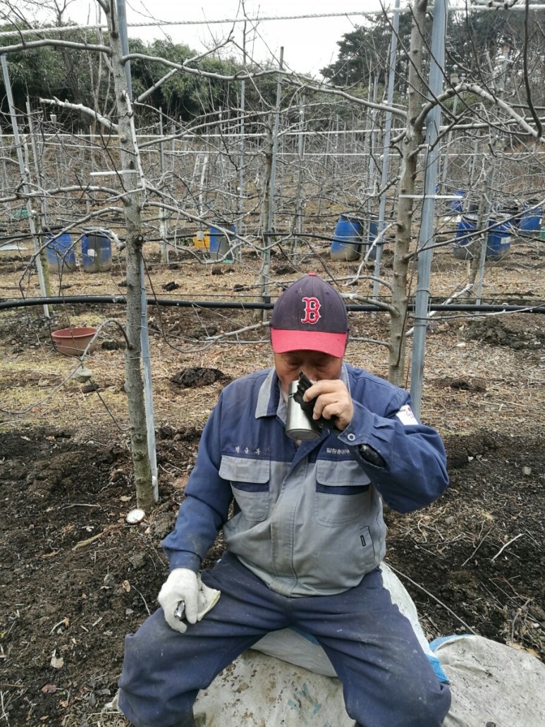 강원친환경유기농 이미지