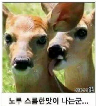 더벤티여수 이미지