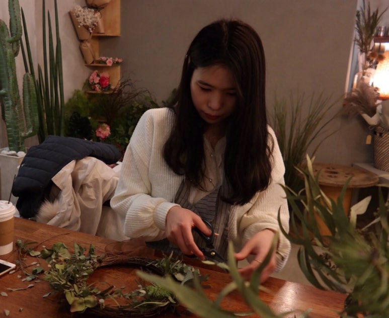 므네모더 이미지