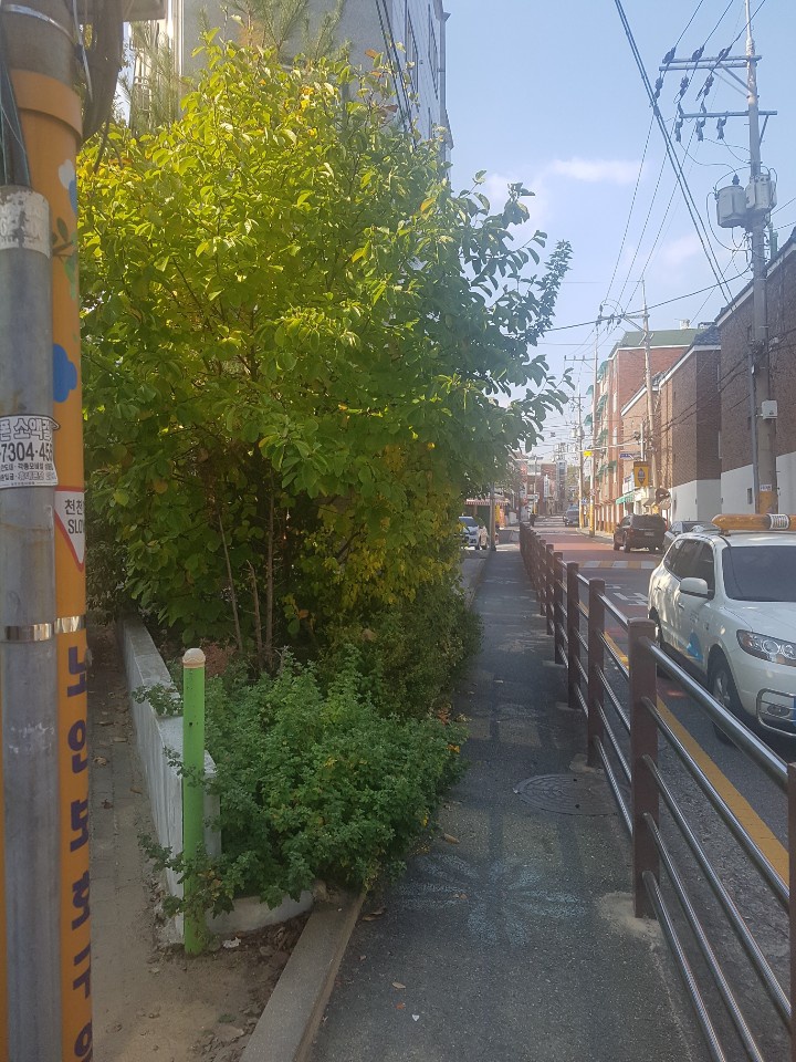 스마일꽃판매장 이미지