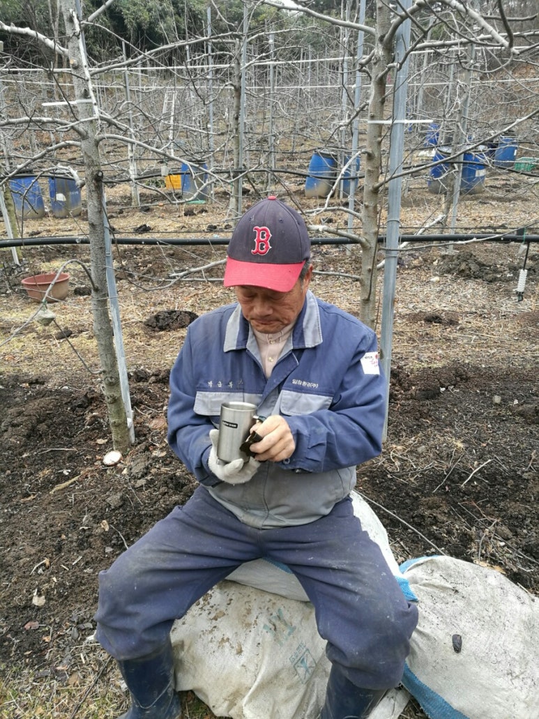 강원친환경유기농 이미지