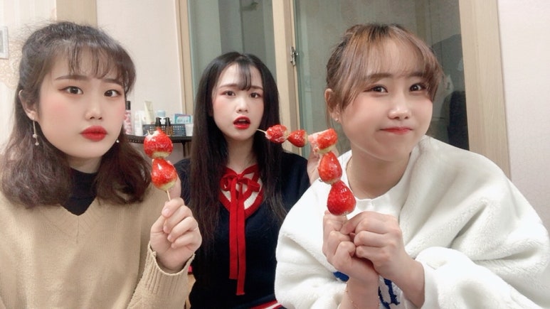 시샘달하루 이미지
