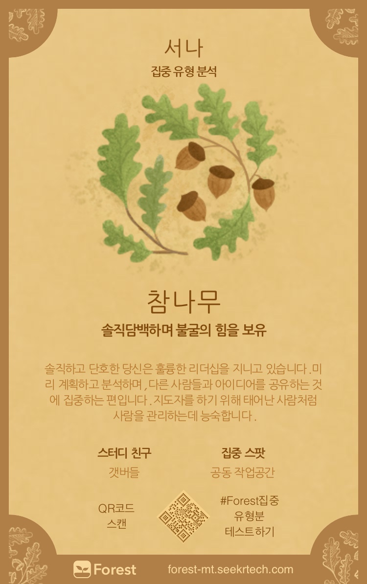 포레스트(forest) 이미지