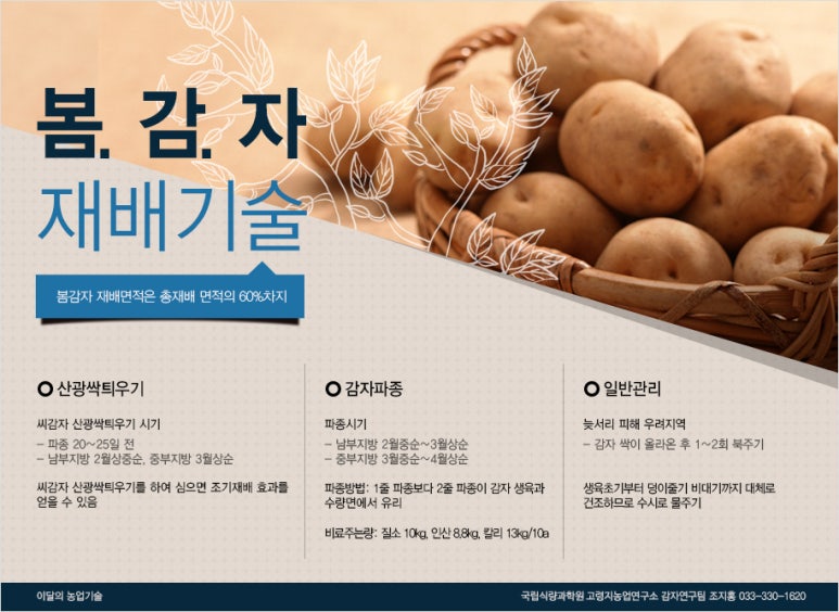 감자밭 이미지