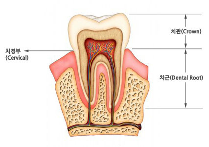 바로이치과 이미지