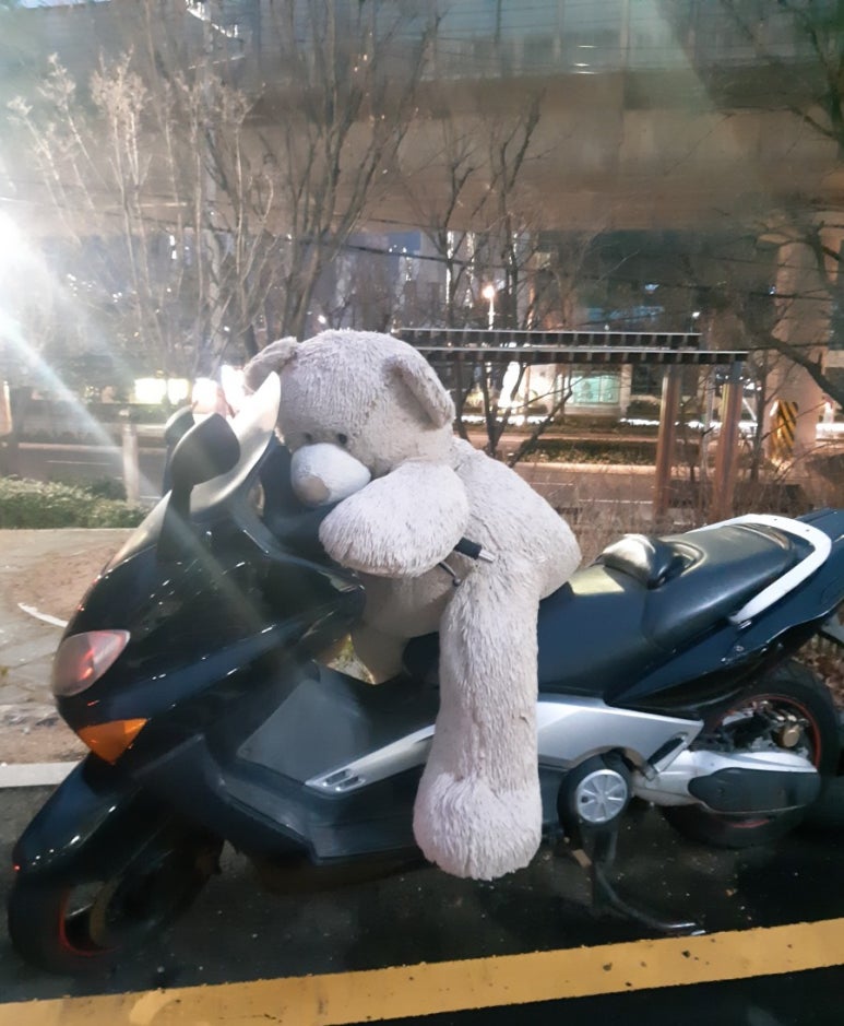 곰돌이카센터 이미지
