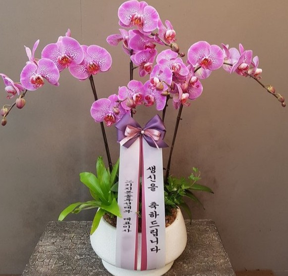 장성꽃배달서비스 이미지