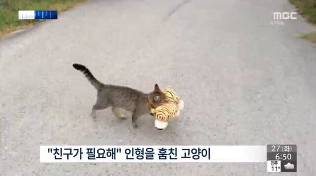 레오파트，클레오파트라 이미지