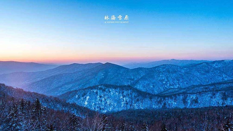 하이쉬 이미지