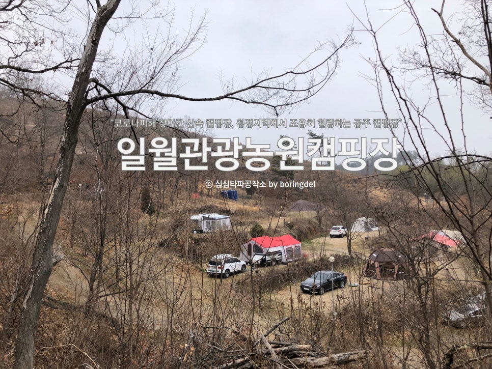 일월관광농원 캠핑장 이미지