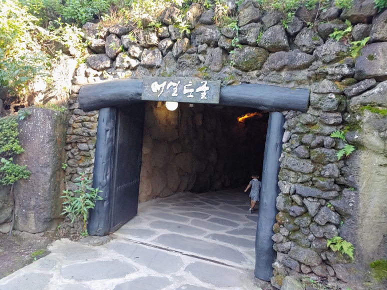 제주 자연속에서 이미지