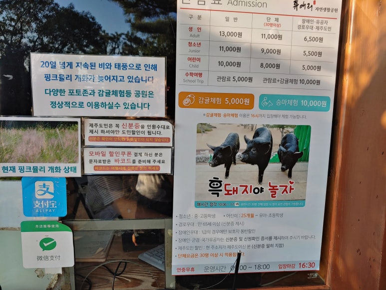 제주 자연속에서 이미지