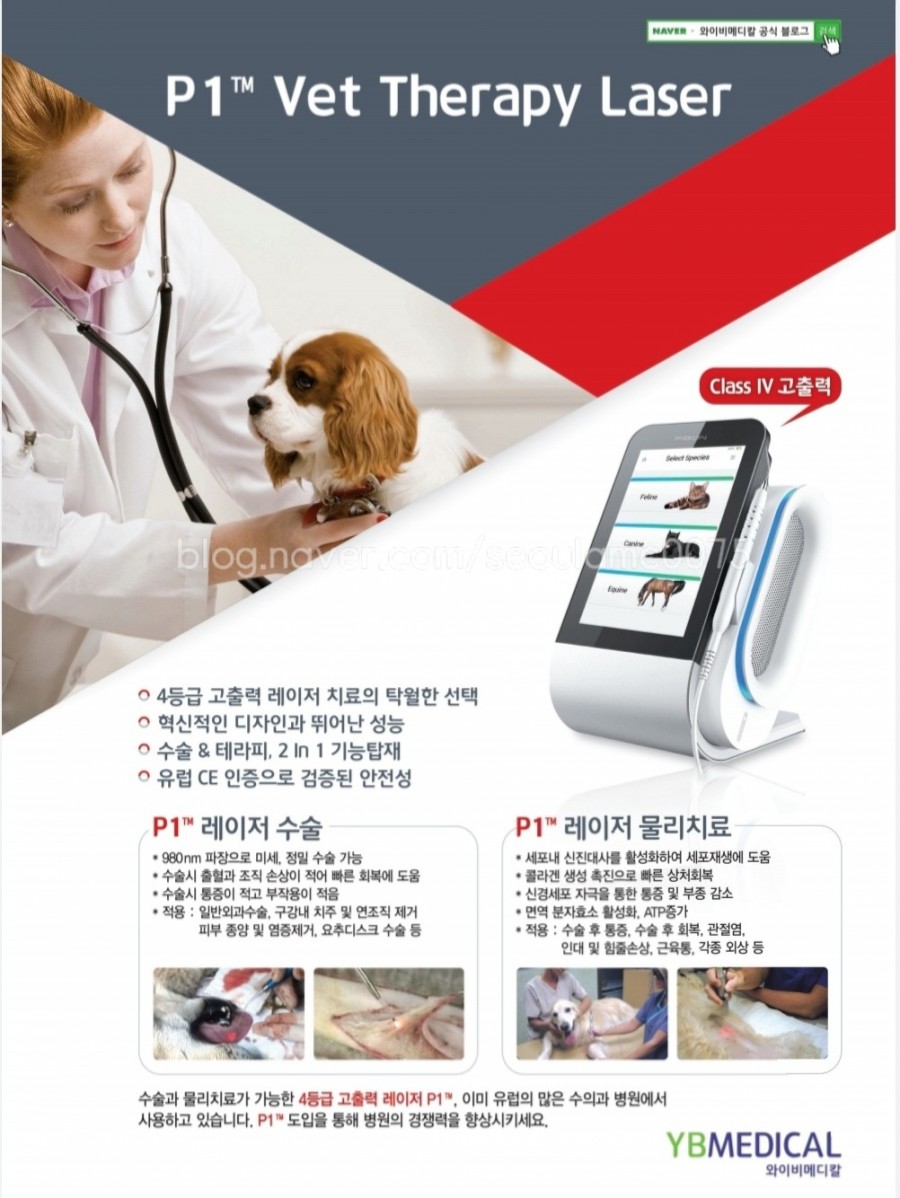 둔촌동통증관리센터 이미지