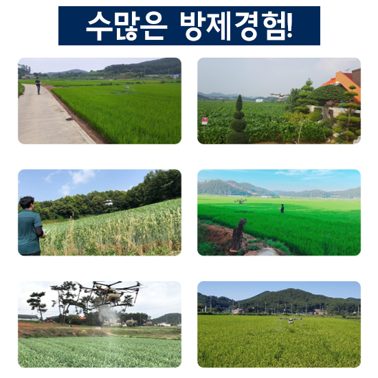 지에스지 이미지