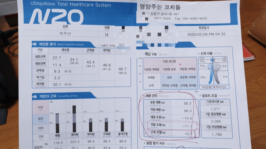 영양주는코치들 이미지